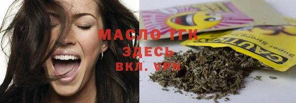 хмурый Арсеньев