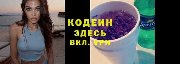 хмурый Арсеньев
