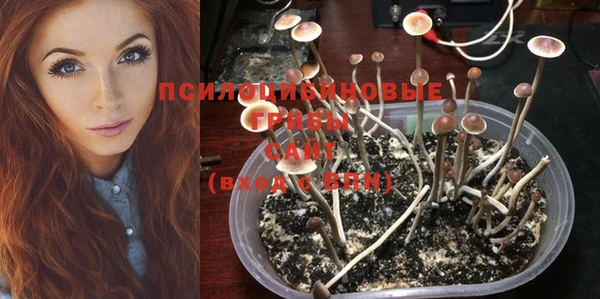 хмурый Арсеньев
