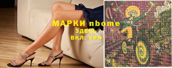 хмурый Арсеньев