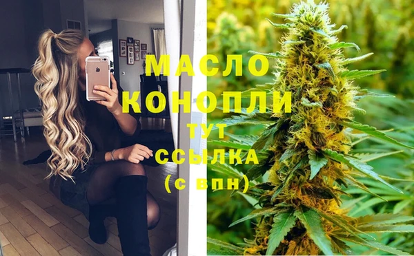 хмурый Арсеньев