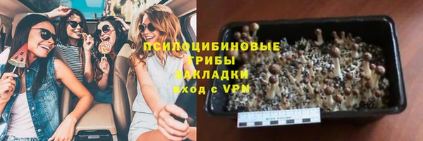 не бодяженный Аркадак